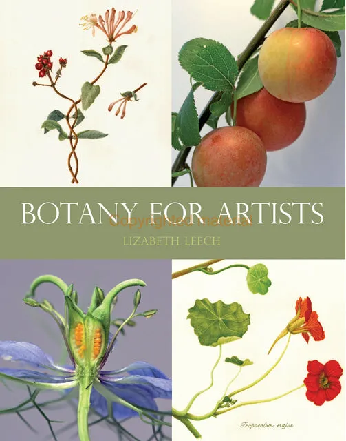 Botany for Artists