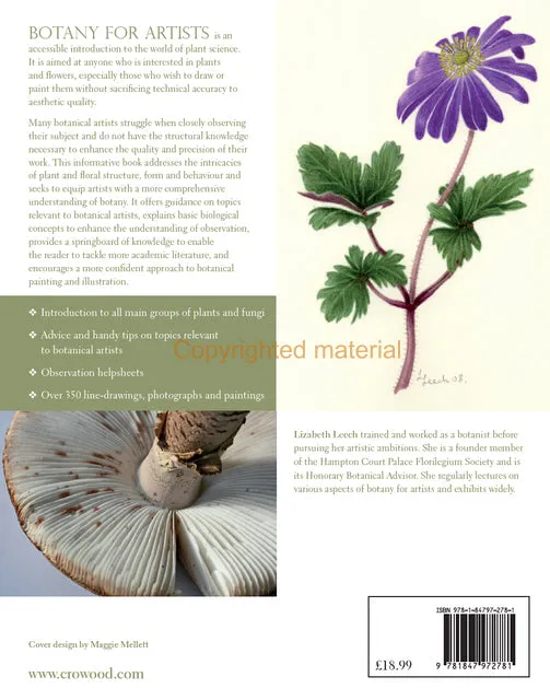 Botany for Artists