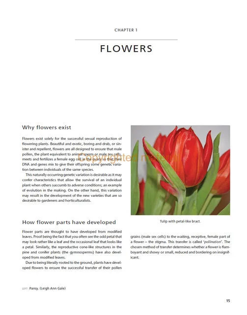 Botany for Artists