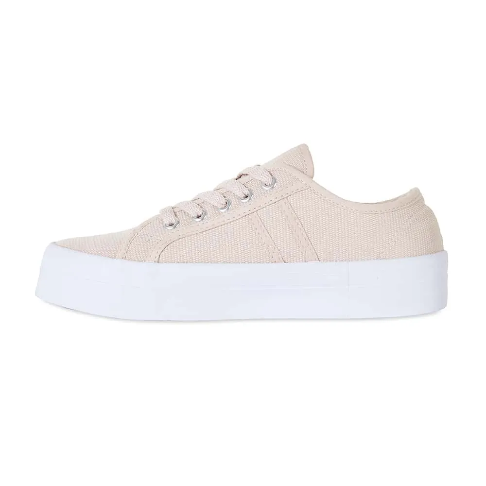 Scott Sneaker in Blush Canvas