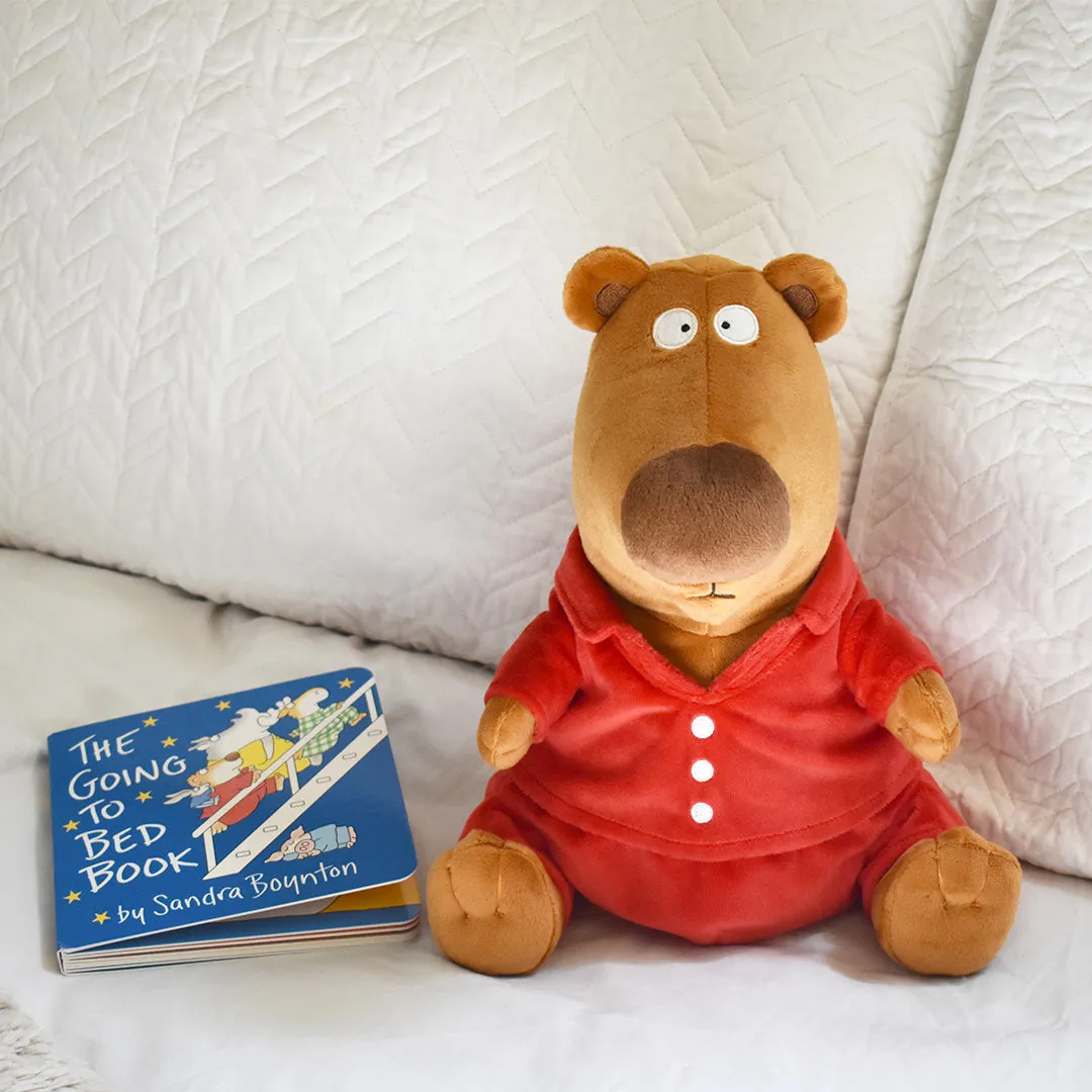 The Going to Bed Book